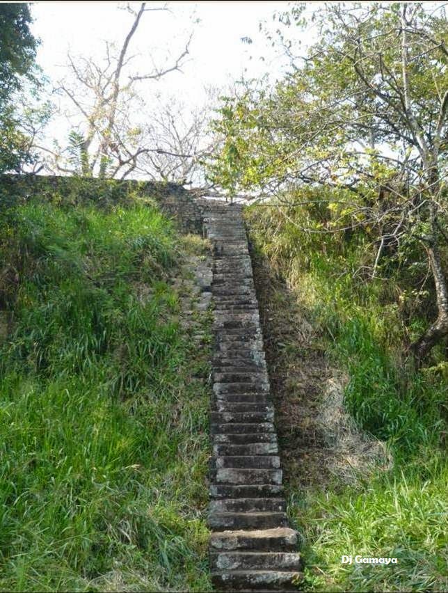 Picture17.jpg
