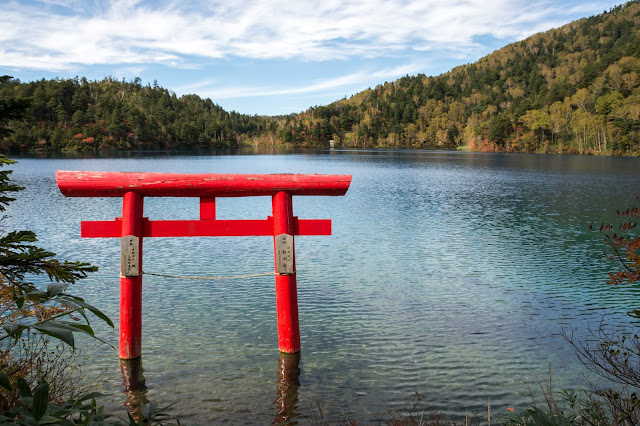 cestování po světě, blog, japonsko, nagano, shigakogen, trail around ponds