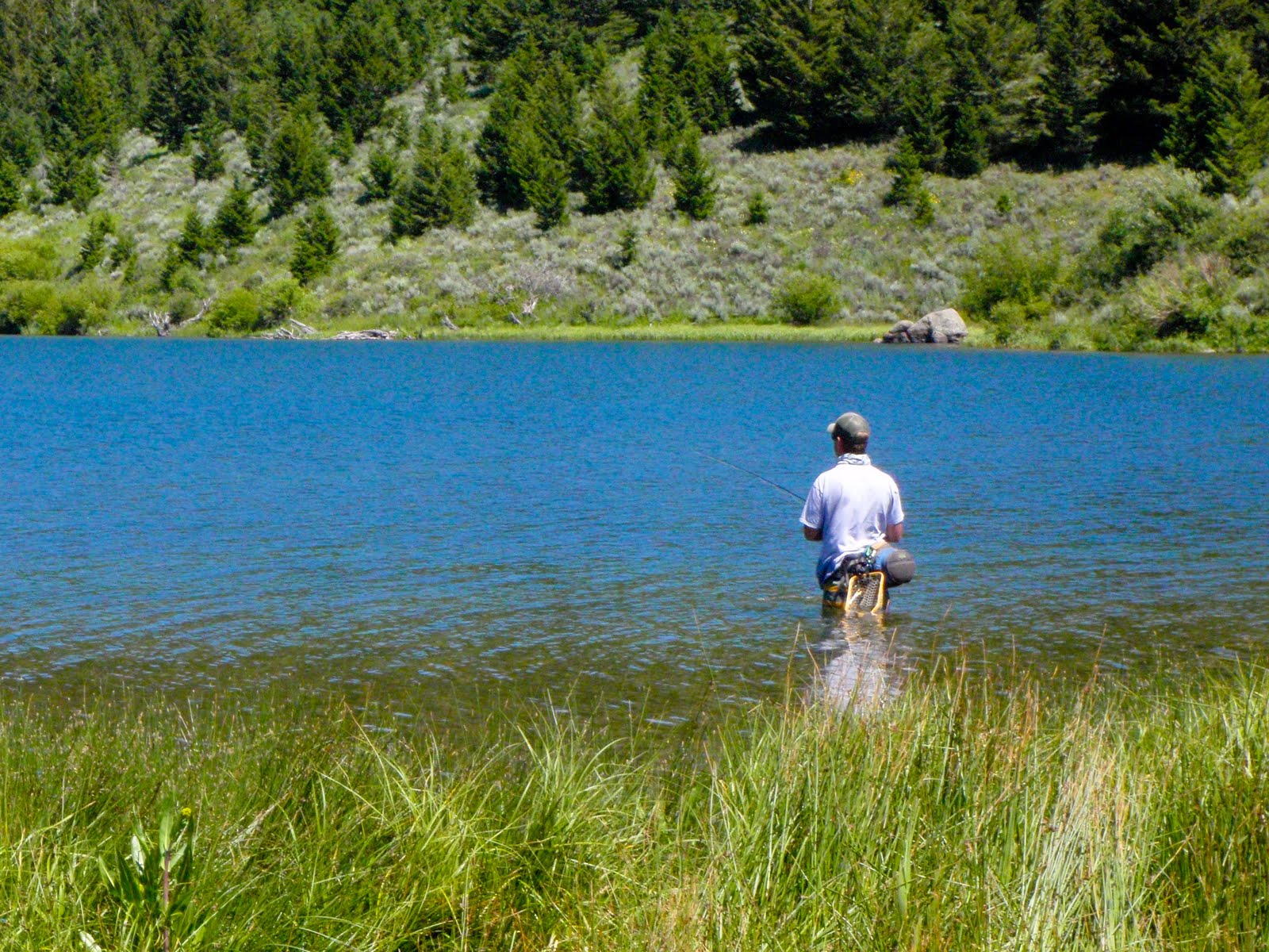 Mike's Gone Fishin'... Again Elk Lake, MT