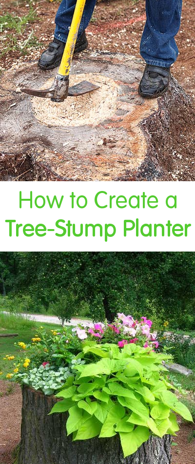 How to Create a Tree-Stump Planter