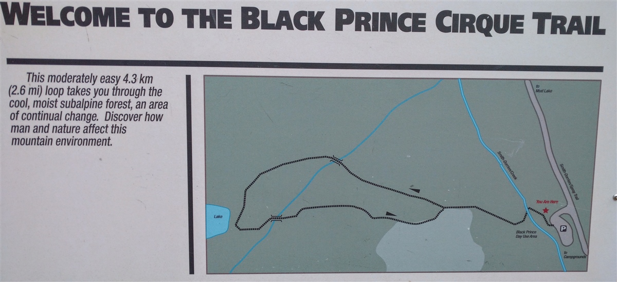 Mount Black Prince Cirque Trail (aka Warspite Lake) Play Outside Guide