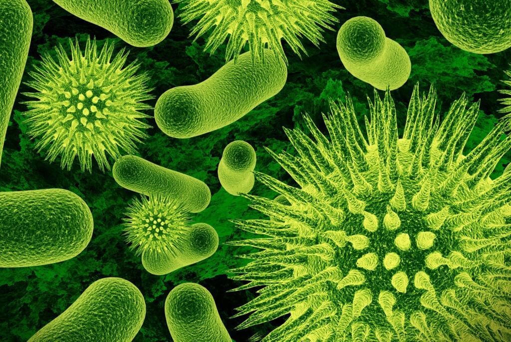 Beza Bakteria Dan Virus