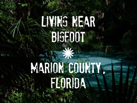 Any adult education in marion county florida useful You adult education in marion county florida