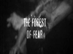 The Forest of Fear