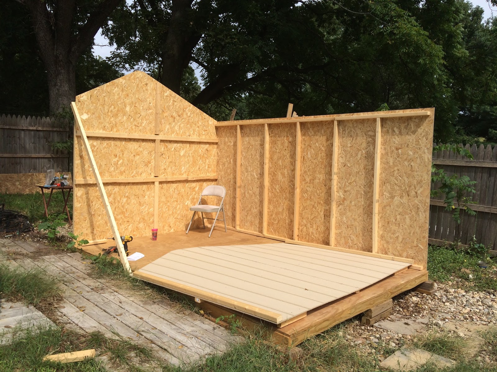 At the Fence Our New Dog Shed