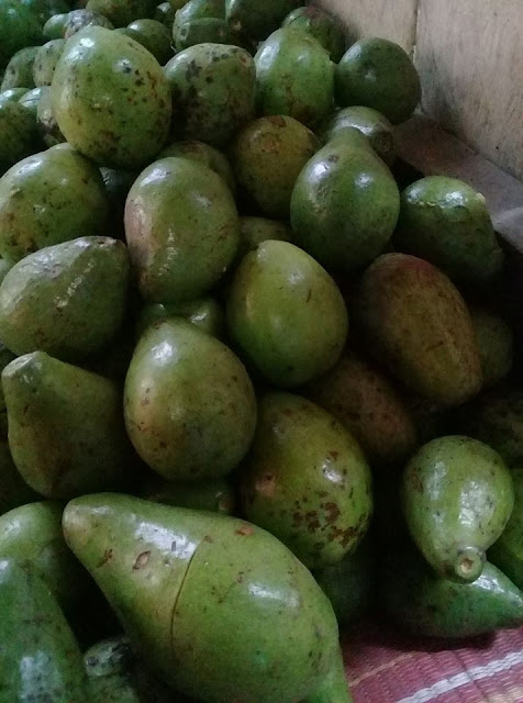 Manfaat Alpukat