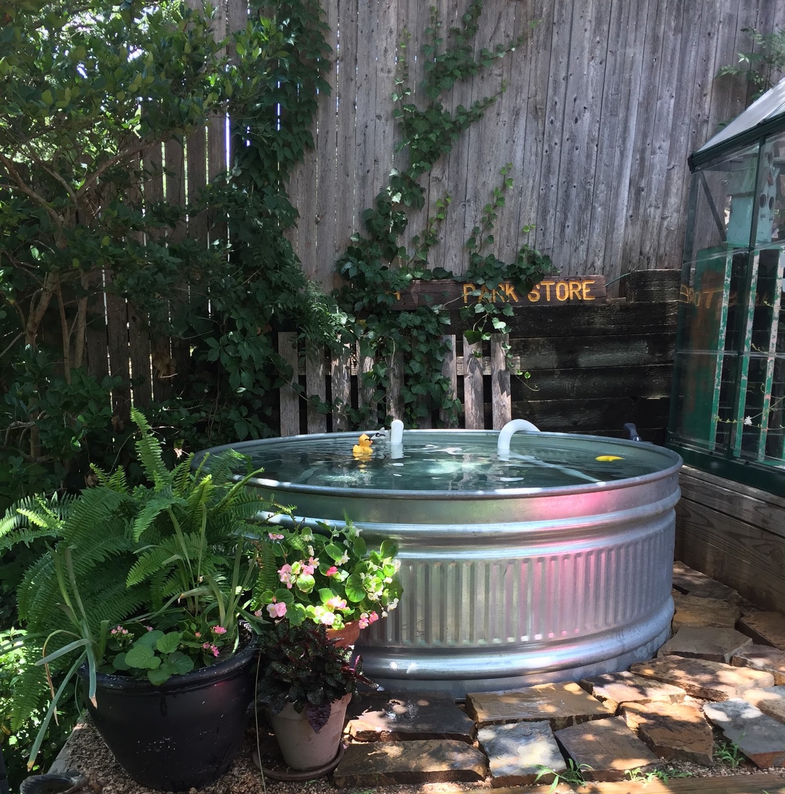 Let's Add Sprinkles New Pump For Our Stock Tank Pool