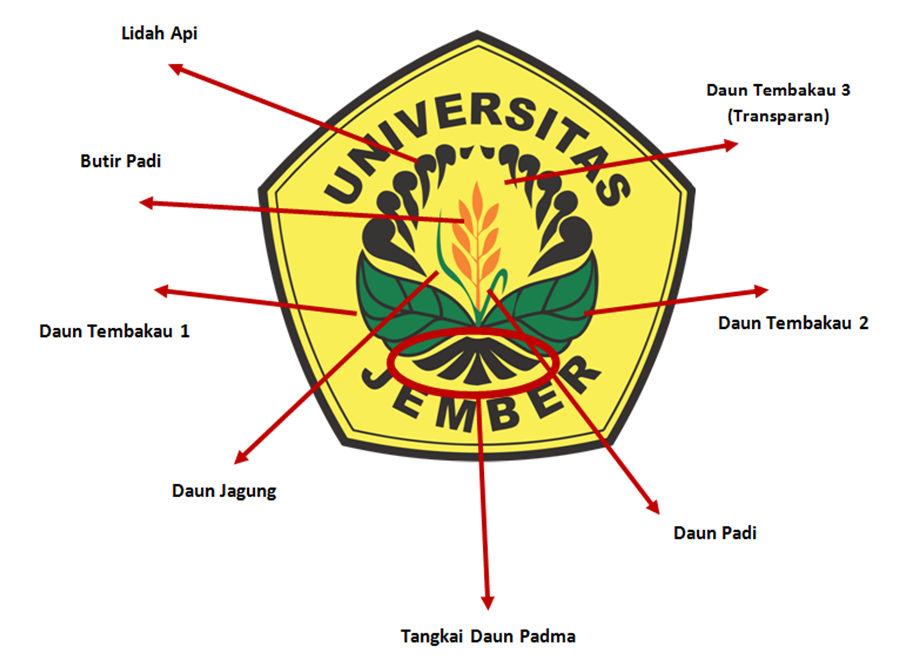 49+ Terpopuler Gambar Logo Jember, Gambar Logo