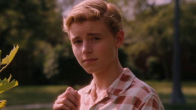 How Did Mcauliffe S Dog Die How Did Mcauliffe S Dog Die