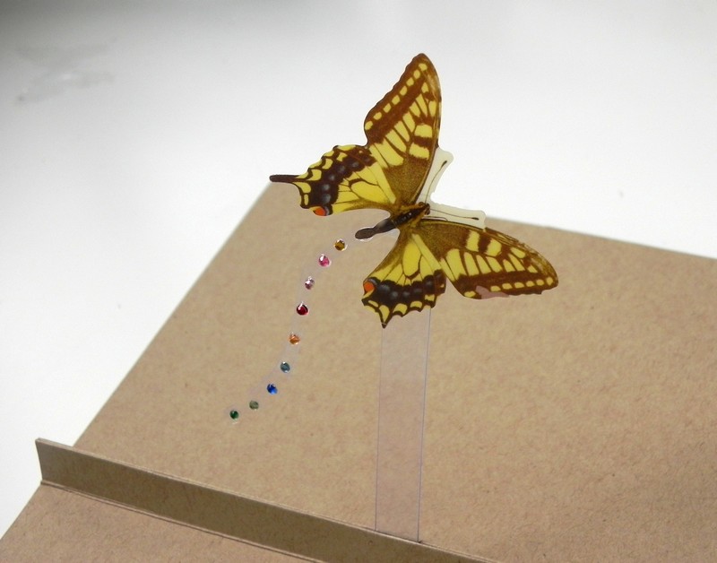 Návod na výrobu pop-up přání s motýlem.