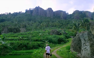 gunung-nglanggeran wisata-jogja