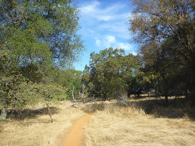 Olmstead Loop Trail near its junction with Cave Valley Trail Olmstead Loop Trail