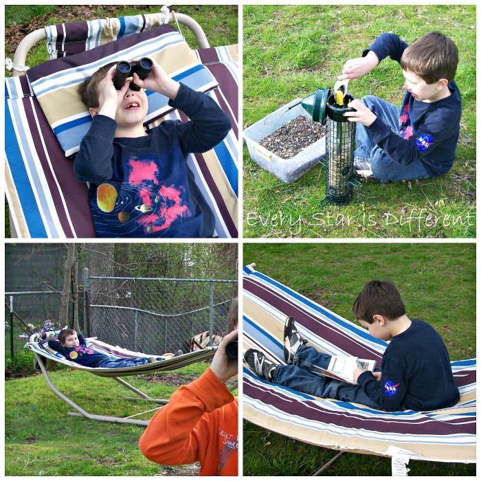 Montessoriinspired Backyard Bird Activities Every Star Is Different