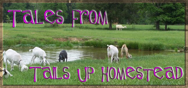 Tales from Tails Up Homestead