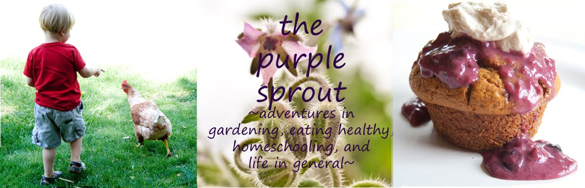 The Purple Sprout