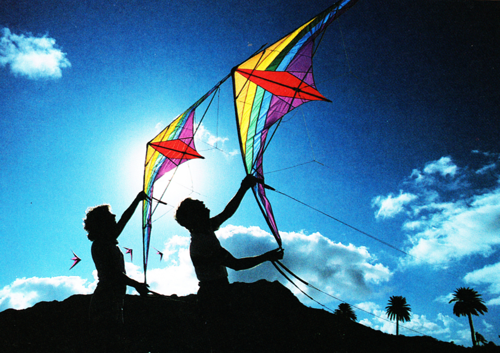 Discovering Something New ongoing learning Largest and longest kites