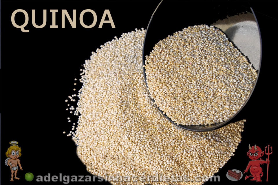 Para adelgazar propiedades quinoa