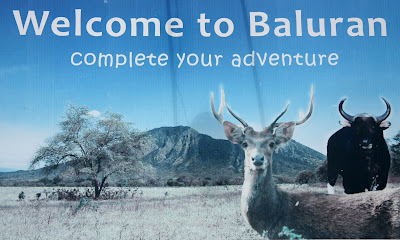 Welcome to Baluran