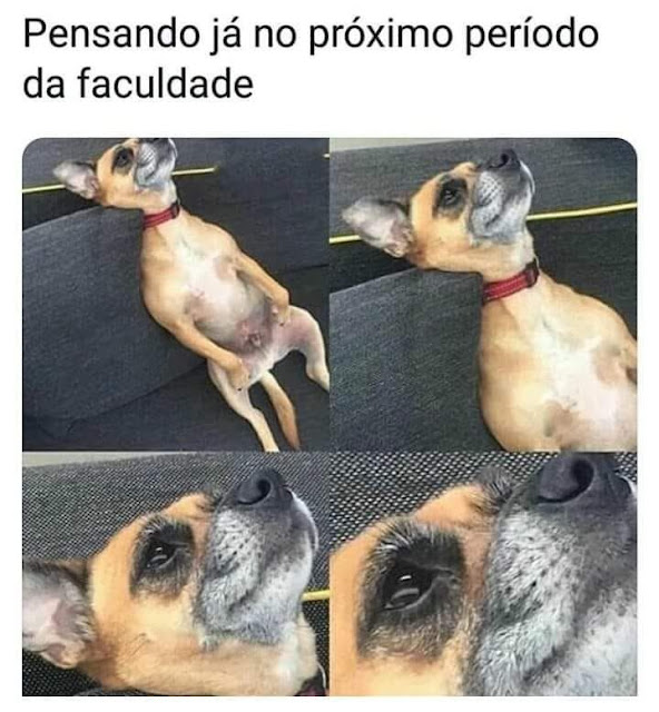 Memes engraçados Memes engraçados