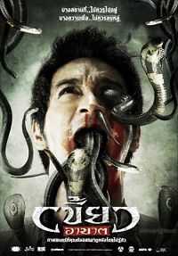 The Intruder 2010 Hindi Dubbed 480p DVDRip 300mb