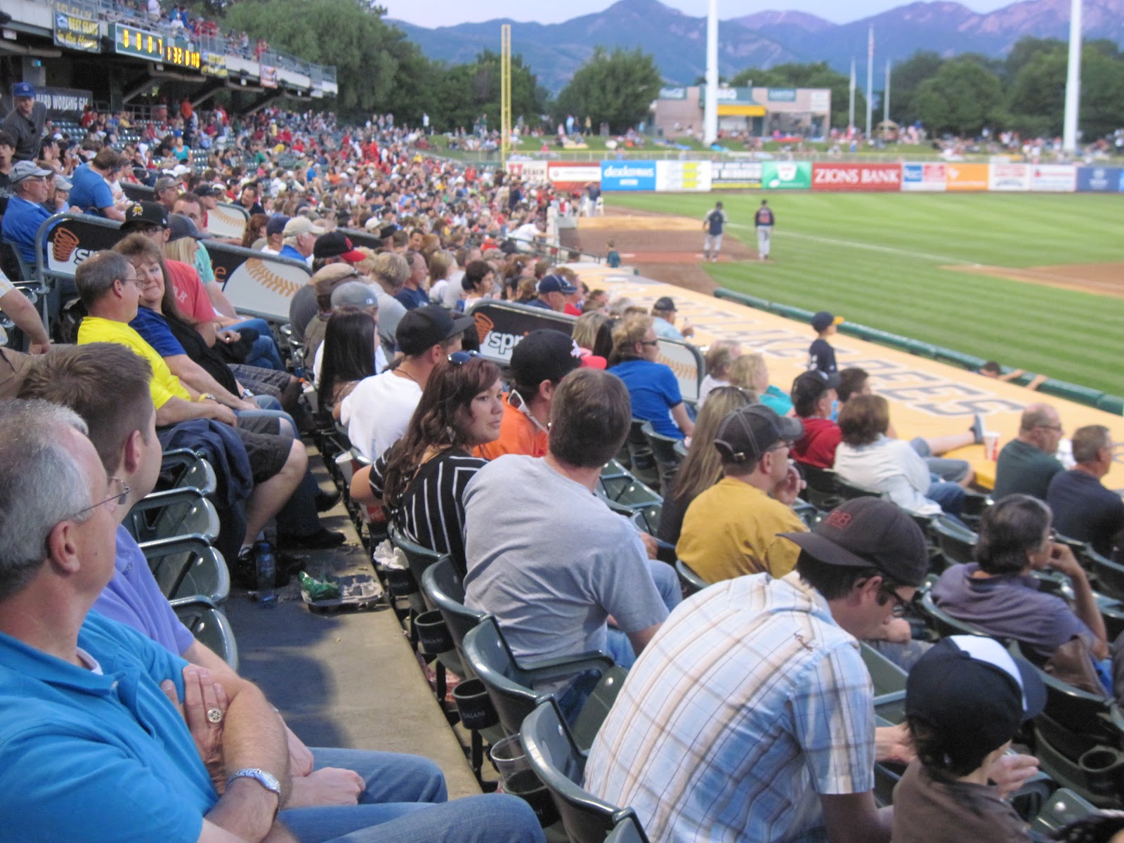 polka-dotty-place-mountainy-monday-the-bees-game