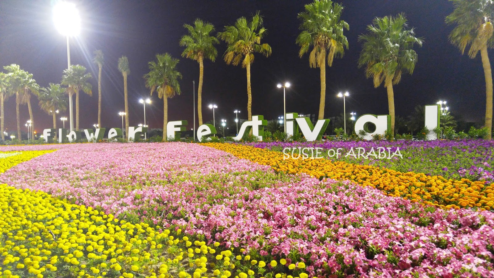 Jeddah Daily Photo Saudi Arabia Yanbu Flower Festival