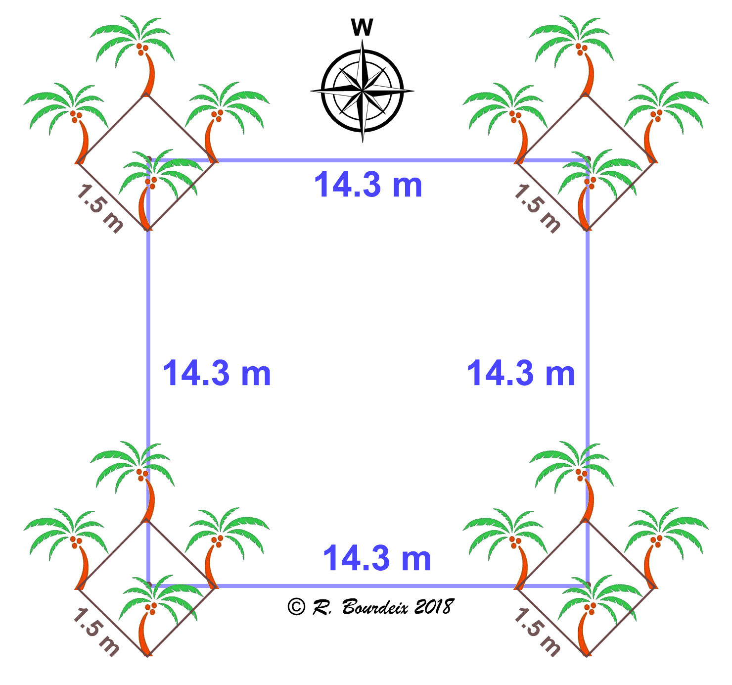 Coconut planting material for the Pacific region Planting designs