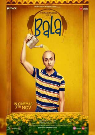 Bala 2019 Full Hindi Movie Download HDRip 720p