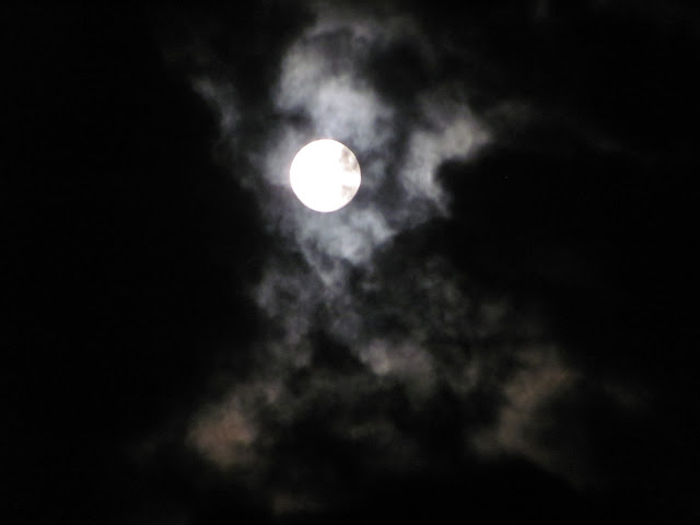 Lensing and Shuttering: Eerie Moon Night Sky Movie