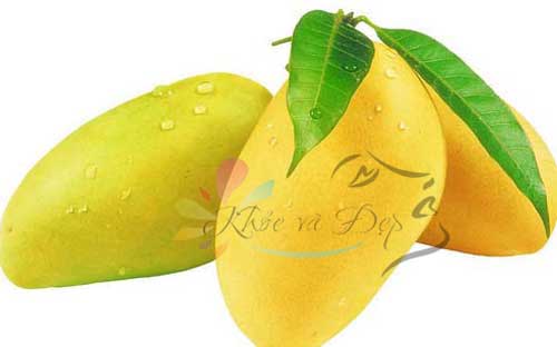 Xoài tảo xoắn mát lịm làm đẹp da hiệu quả Xoài tảo xoắn mát lịm làm đẹp da hiệu quả