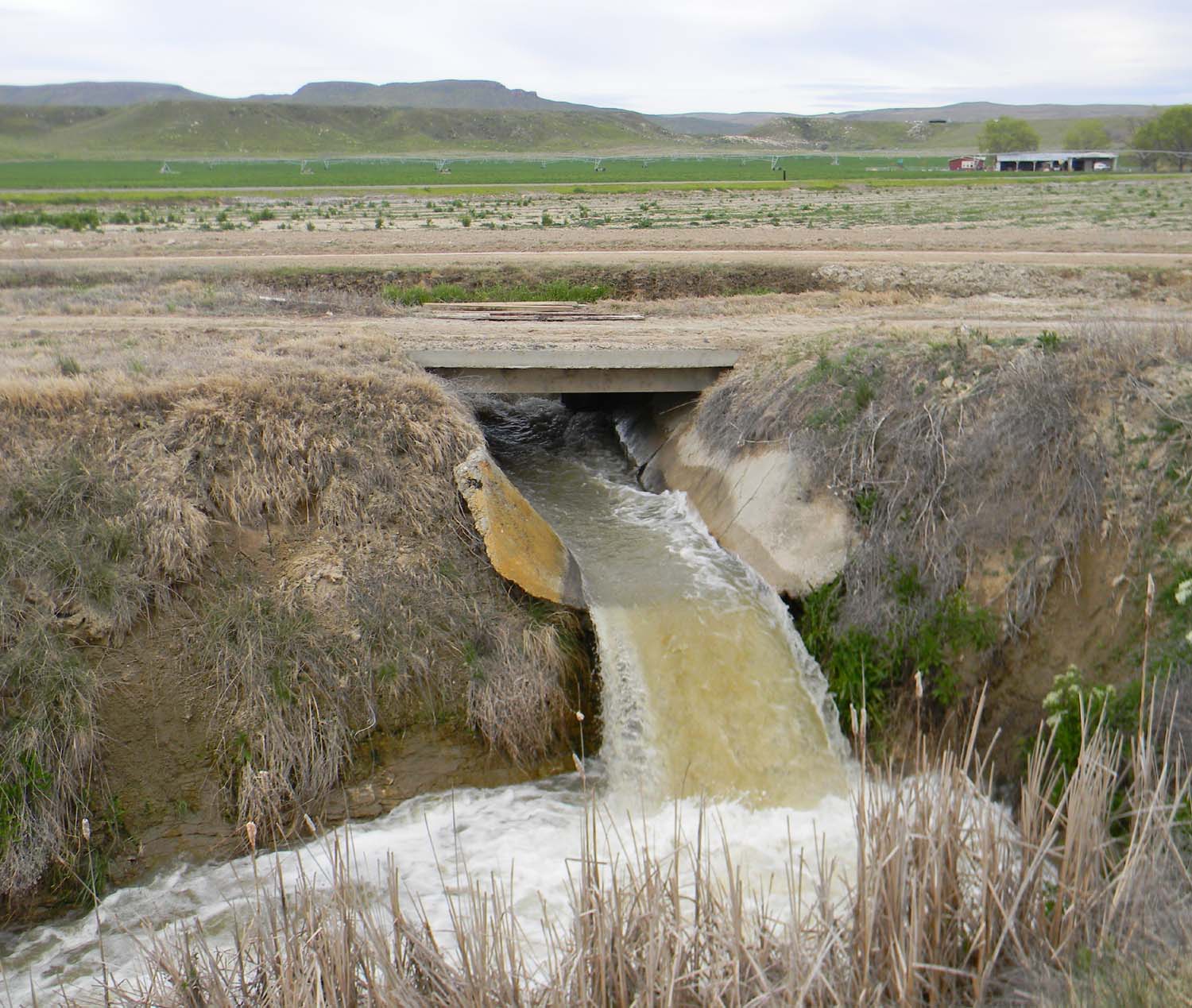 Owyhee Agriculture Irrigation Disaster