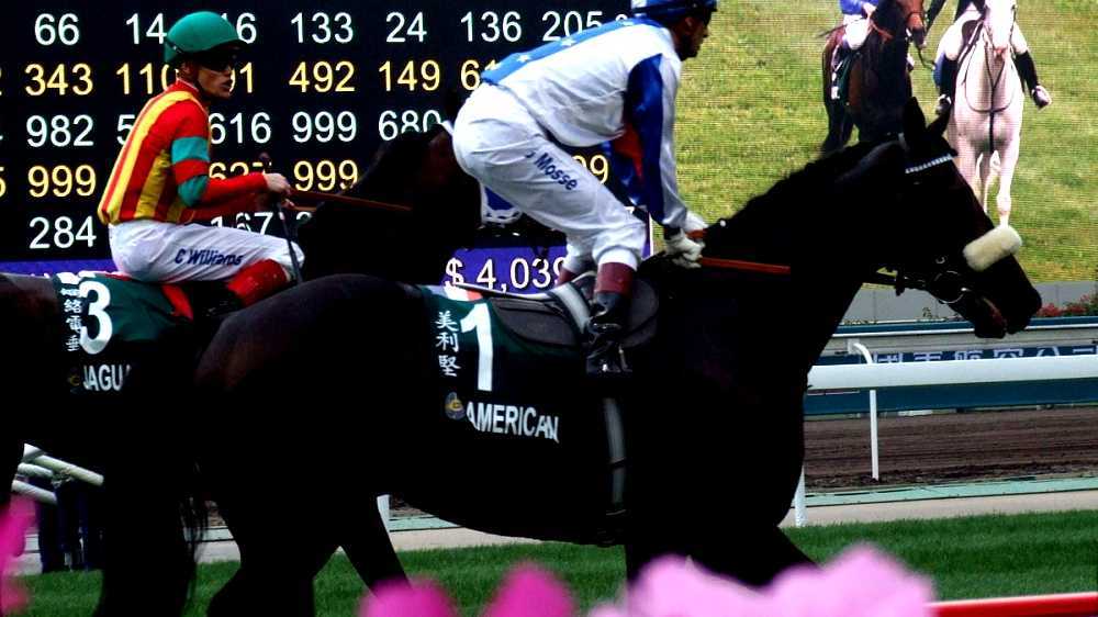 Handicap (horse racing)