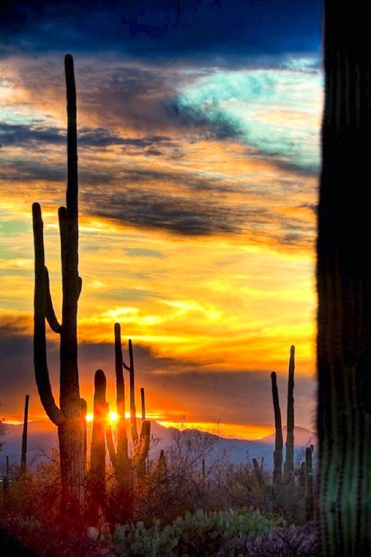 Tucson, Arizona, USA | 10 Places to See Beautiful Sunset Around The World Tucson, Arizona, USA | 10 Places to See Beautiful Sunset Around The World