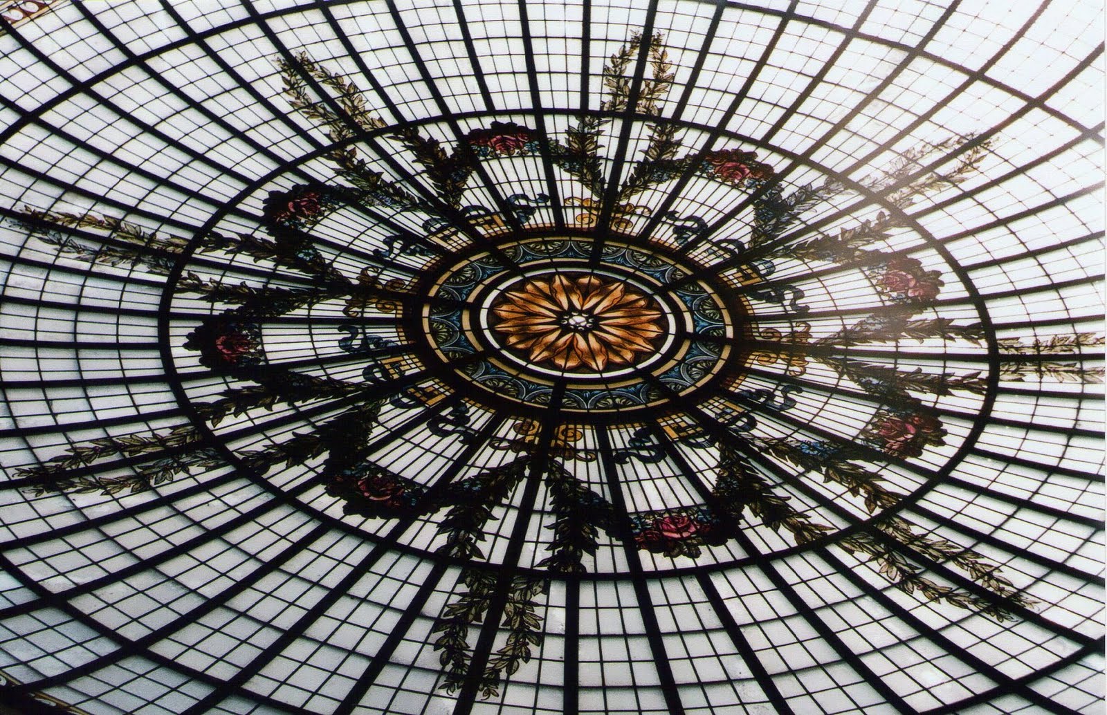 buscopecesenunafogata.: 2011