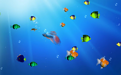 Do You Mind Using These...!!!: Marine Life Aquarium 3D Screensaver