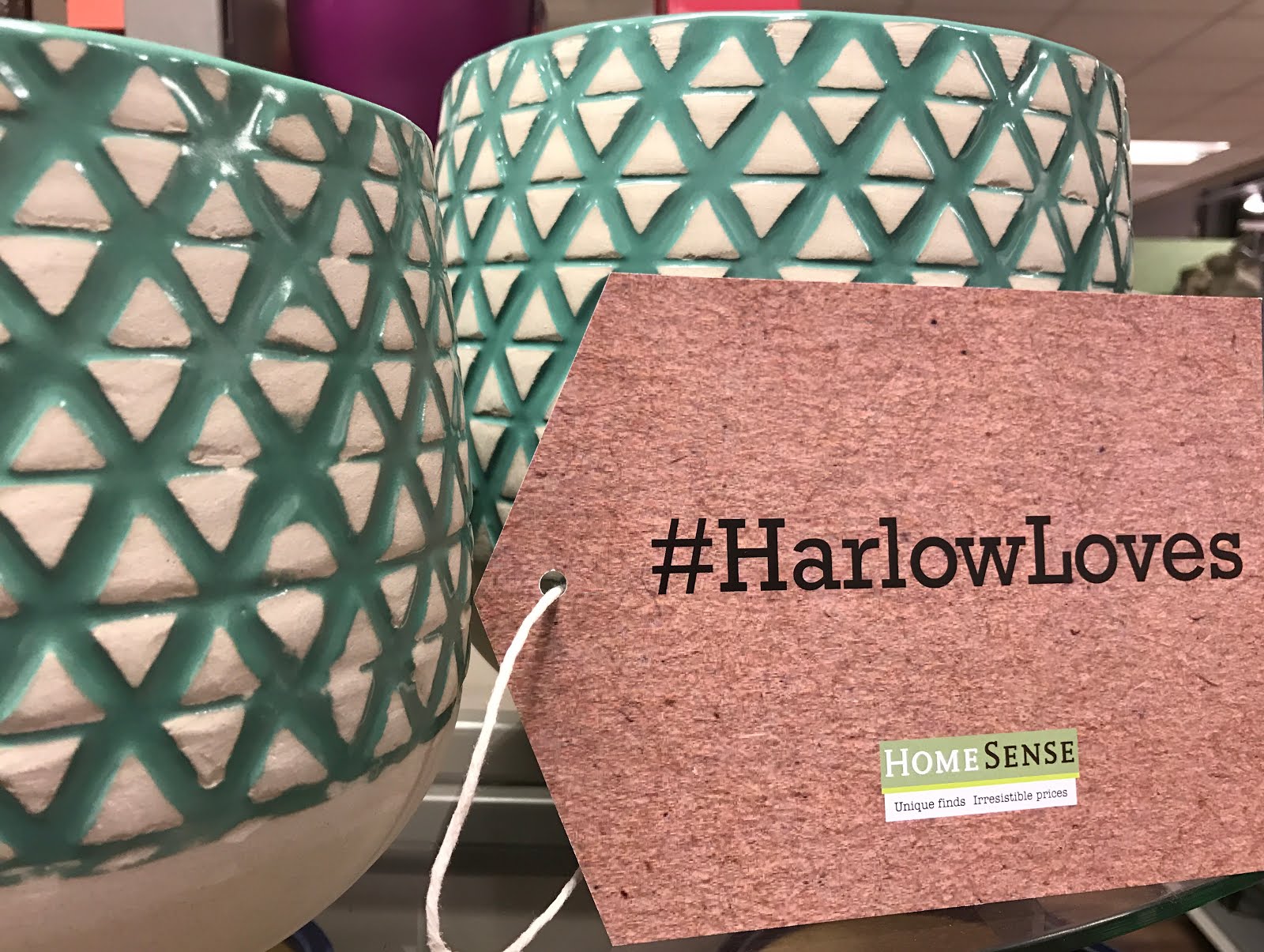 Discovering HomeSense in Harlow Counting To Ten