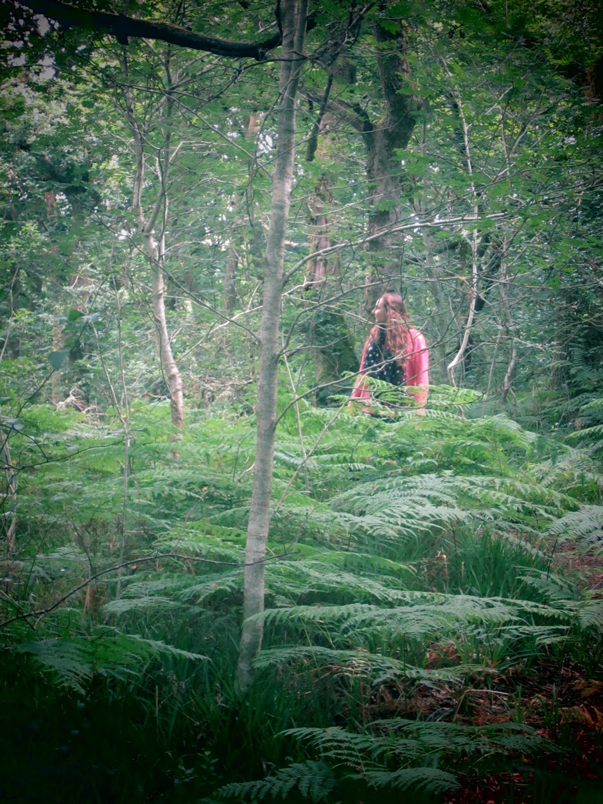 Hoy toca visitar... DOON HILL FAIRY TRAIL (BOSQUE DE LAS HADAS)