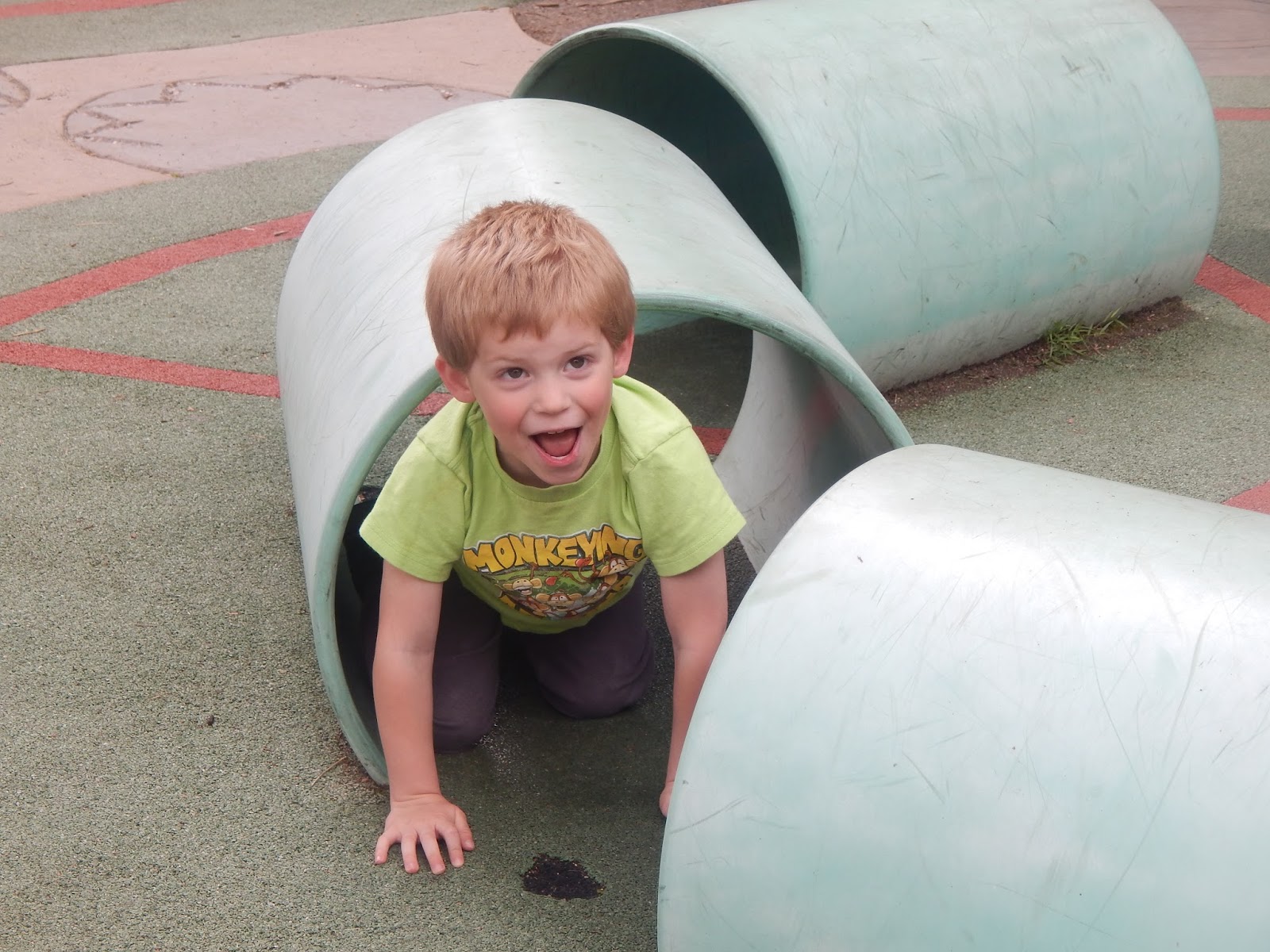 Heroes, Heroines, and History Cheyenne Mountain Zoo America's only