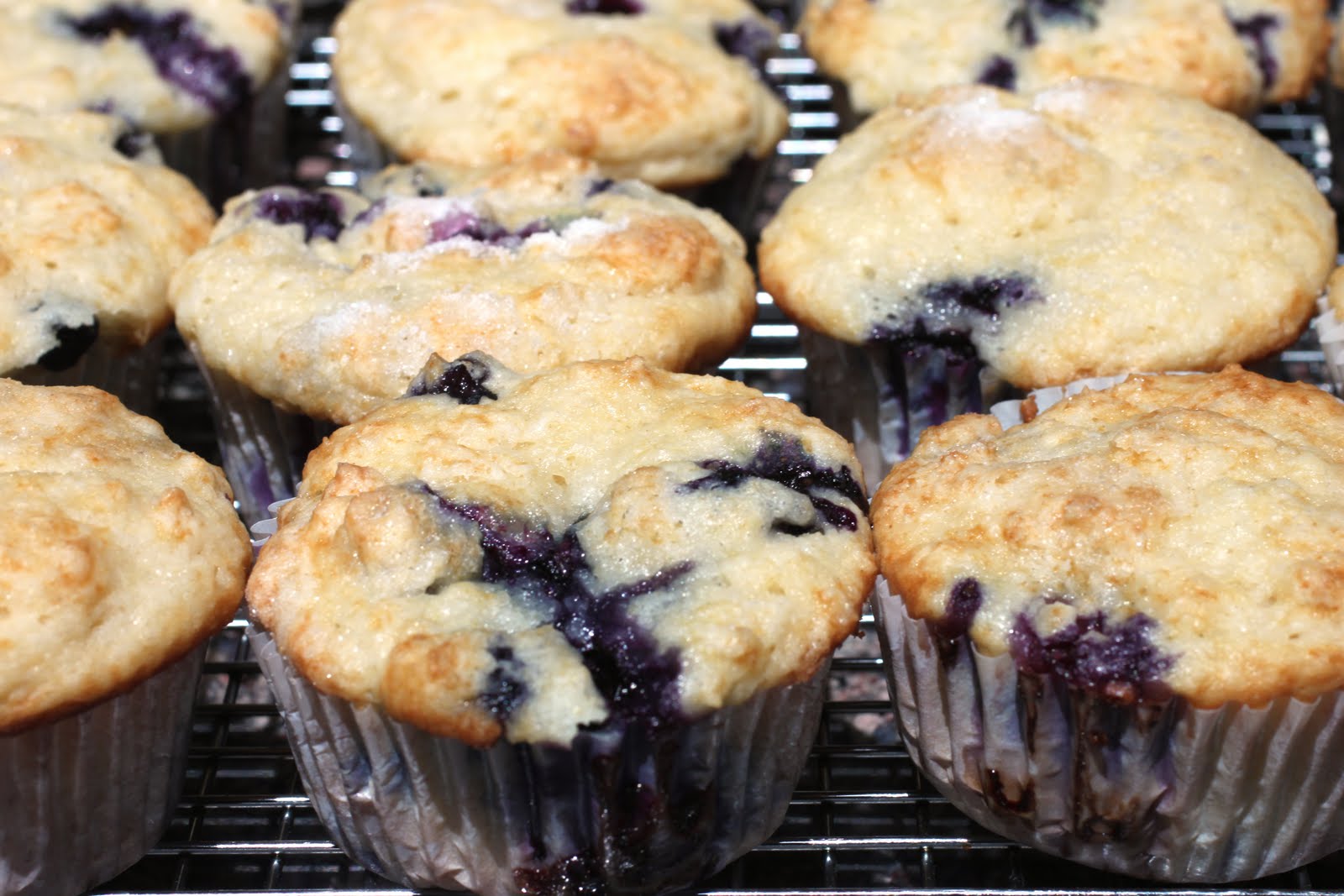 The best blueberry muffin recipe in the world