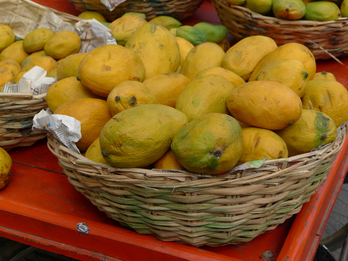 a white mughal's kitchen Mango Mania in India