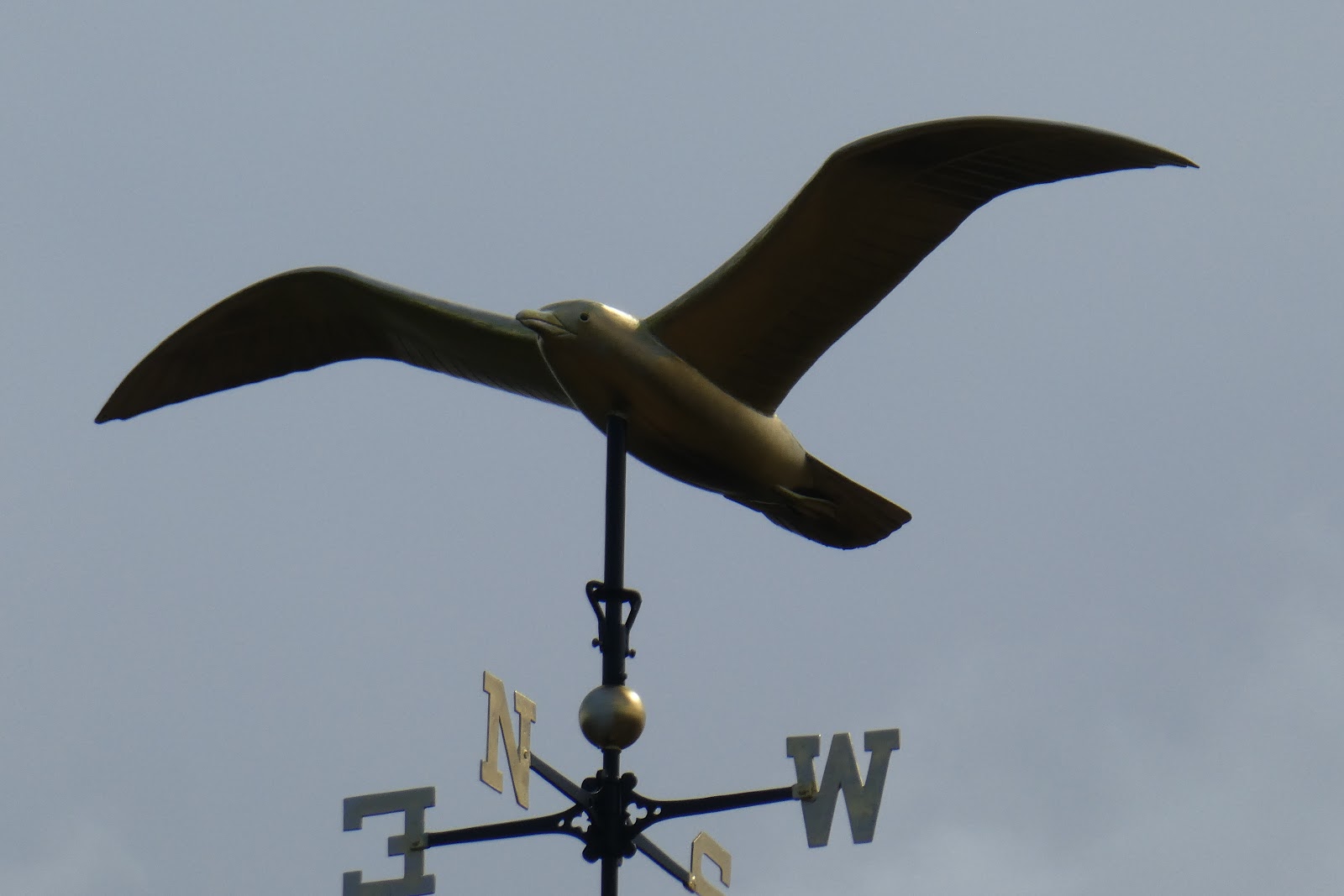 Nutfield Genealogy Weathervane Wednesday A Golden Seagull