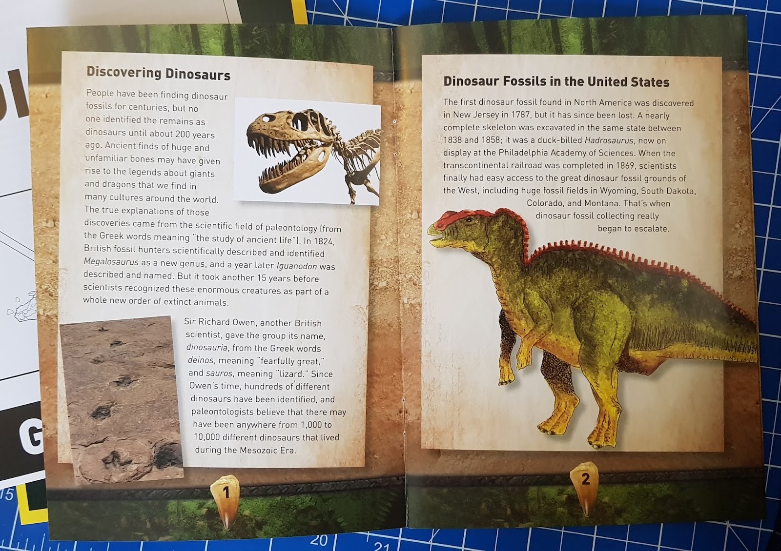 national geographic stem kits