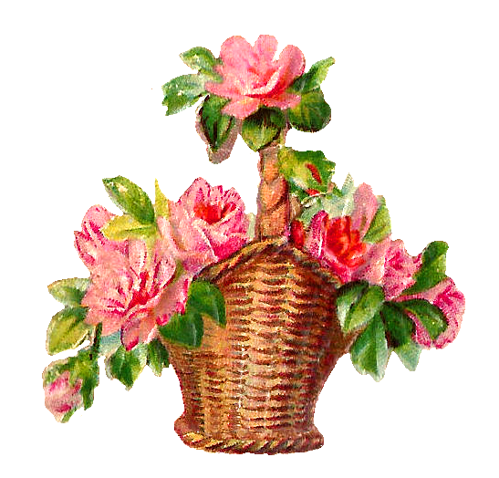 clipart flower basket - photo #41