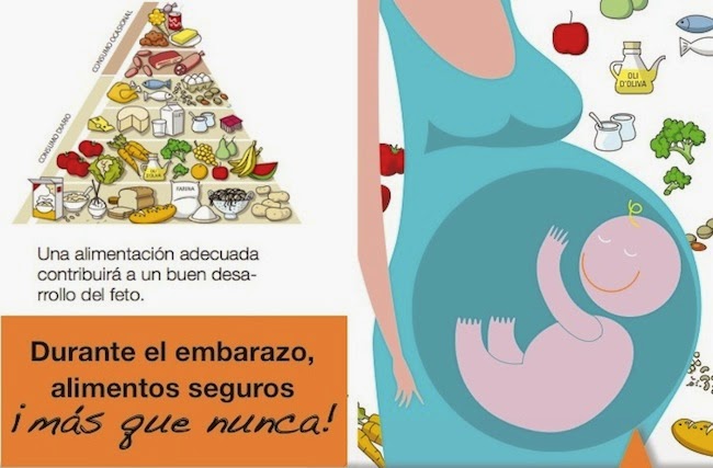 Alimentos durante el embarazo