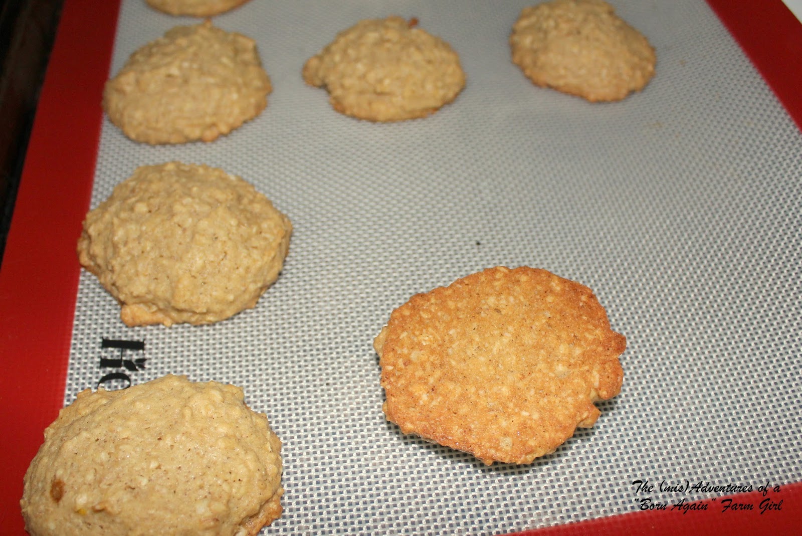 Heart Healthy Oatmeal Cookies The (mis)Adventures of a Homesteadin' Mama