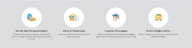 TokTok, Toko Online Khusus PNS