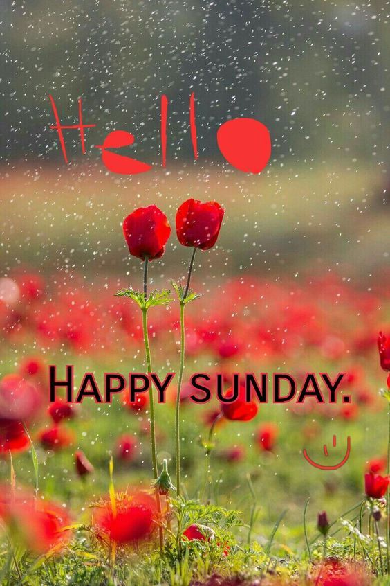 happy sunday images for whatsapp