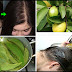 How To Grow Your Hair Extremely Fast And Stop Hair Loss In A Week Using Guava Leaves