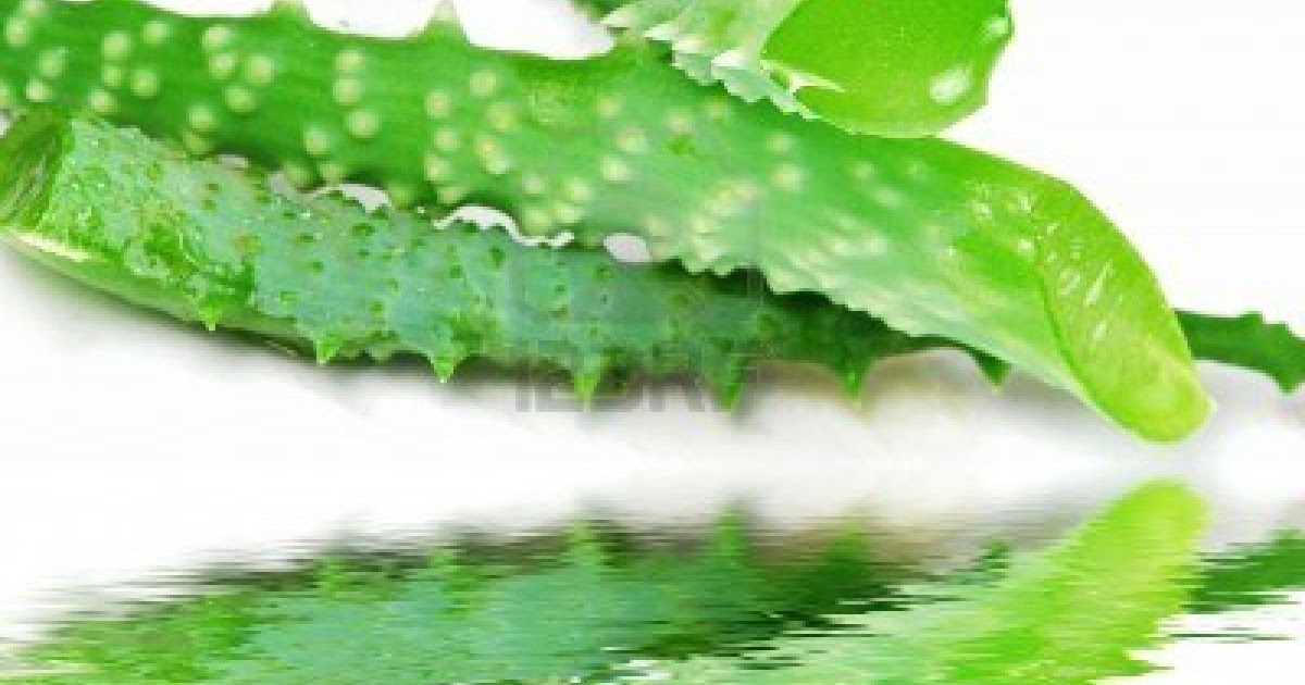 aloe vera prostatitis crónica de