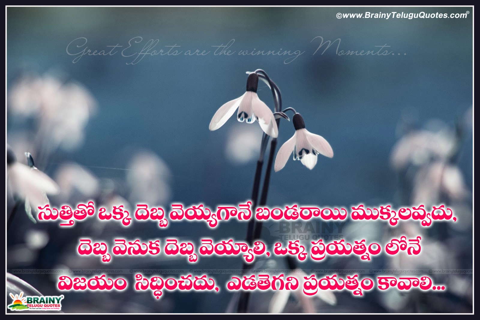 Telugu Inspirational Motivational Quotes Sayings Wallpapers telugu-inspirational-motivational-quotes-sayings-wallpapers